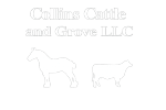 Collins Cattle and Grove