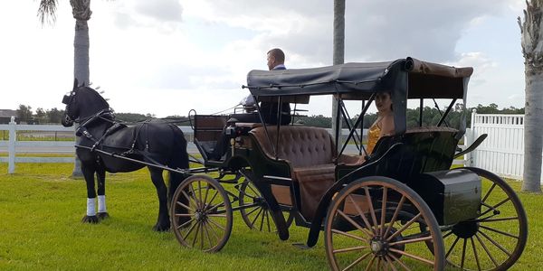Horse-drawn carriage with two people on a grassy field.