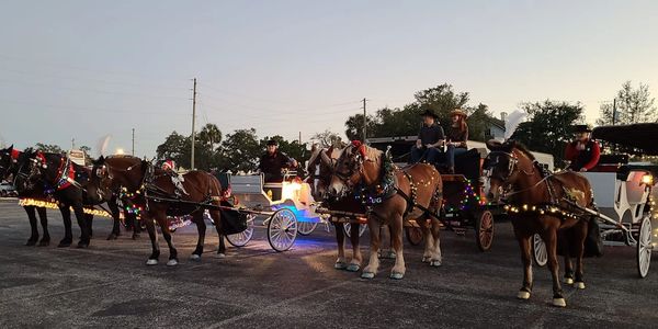 Draft horse teams and decorated carriages gathered for a Central Florida Christmas event