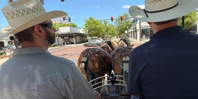 Ed training Charles to drive a draft horse team through Hyde Park in Tampa.