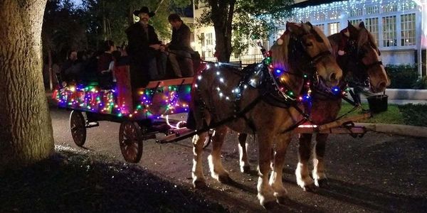 Horse-drawn holiday wagon decorated with Christmas lights during a neighborhood tour in Hyde Park