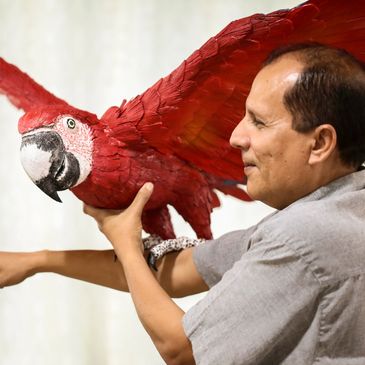 Man holding a vibrant red parrot with wings spread.