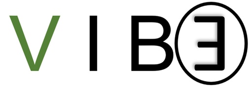 the VIBE assessment