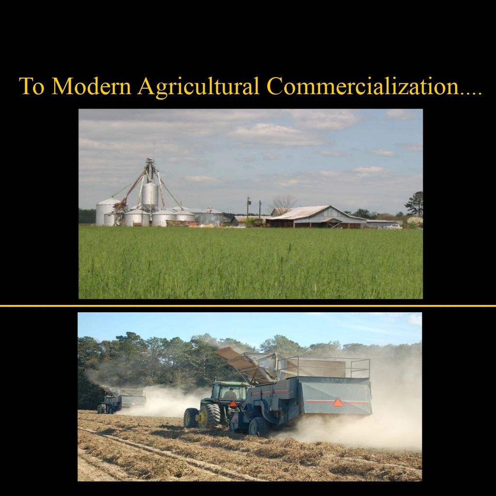 Modern agriculture accelerated the growth  and productivity of Harrell Farms as well as others.