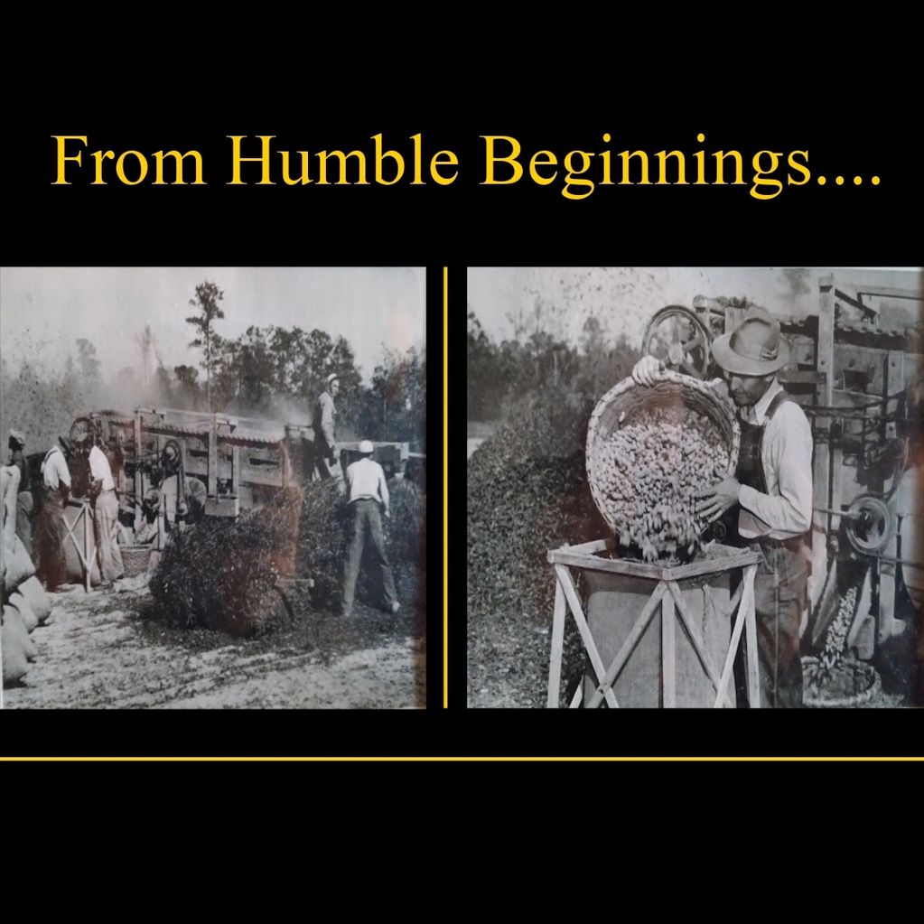 From humble beginnings, Harrell Farms has prided itself on agriculture in Suffolk, Virginia.