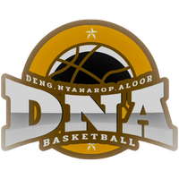 D.N.A Basketball