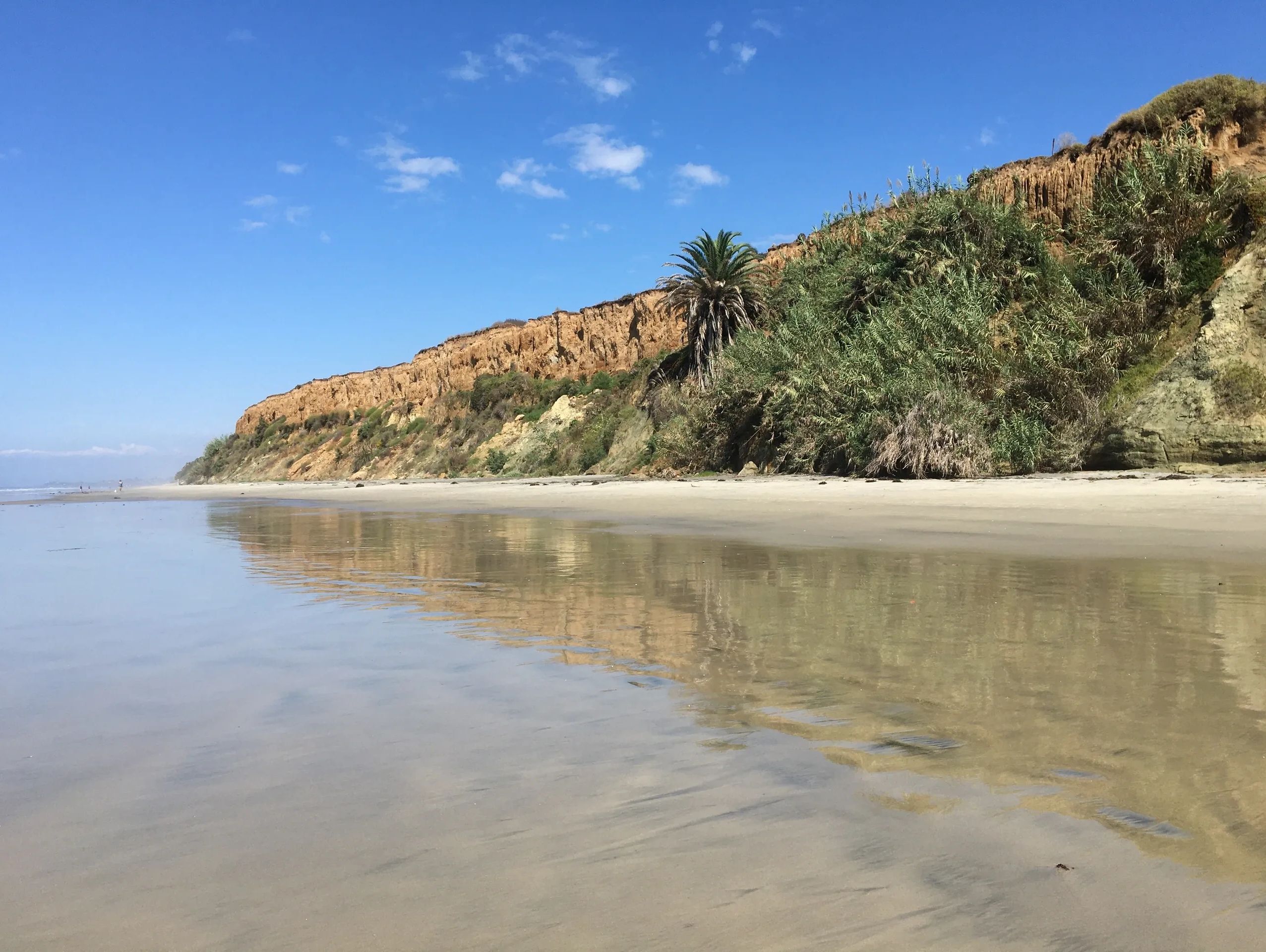 Sunny day at a beach with cliffs and palm trees.
