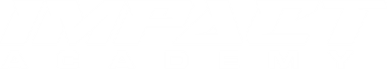 Impact ACADEMY