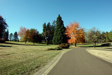 cemetery memorial park