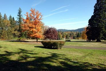 cemetery memorial park grounds burial