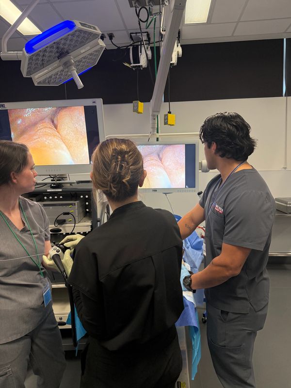 Medical professionals examining endoscopy images on monitors.