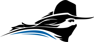 Blue curved shape resembling a swoosh or wing.