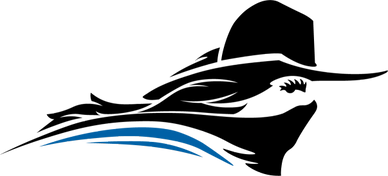 Blue curved shape resembling a swoosh or wing.
