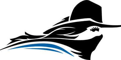 Blue curved shape resembling a swoosh or wing.