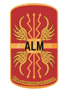 ALM Tactical Training