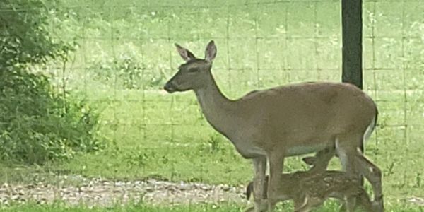 Riverwood is a quiet rural community just south of Hempstead, Texas. Established in 1976, it include