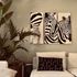 Zebra triptych 