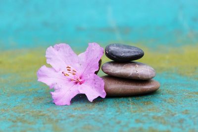 general nutrition counseling for disease management and prevention - northern virginia specialists
