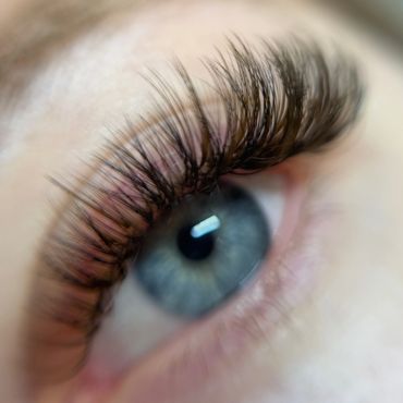 Brown + Black Hybrid Extensions