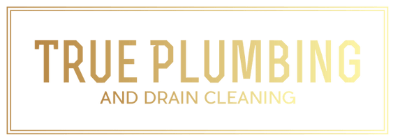 True Plumbing and Drain Cleaning
Call or Text 
303-325-6118
Monda