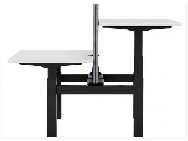 Height-adjustable dual workstation with divider for shared office space.