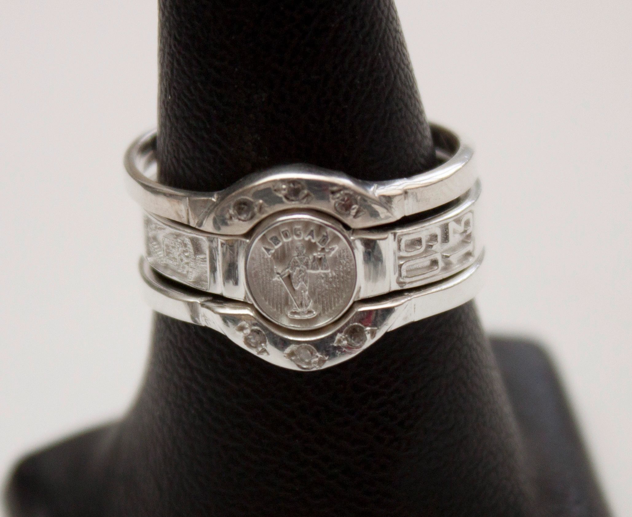 Anillo CS. Sociales y Humanidades 13