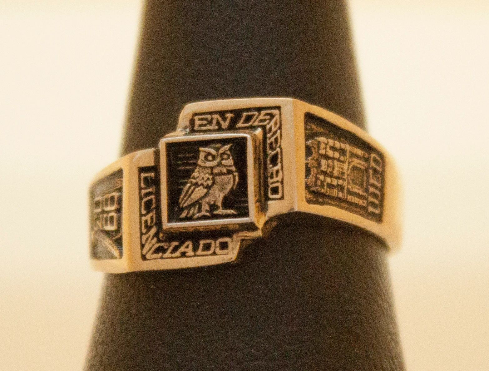 Anillo CS. Sociales y Humanidades 22