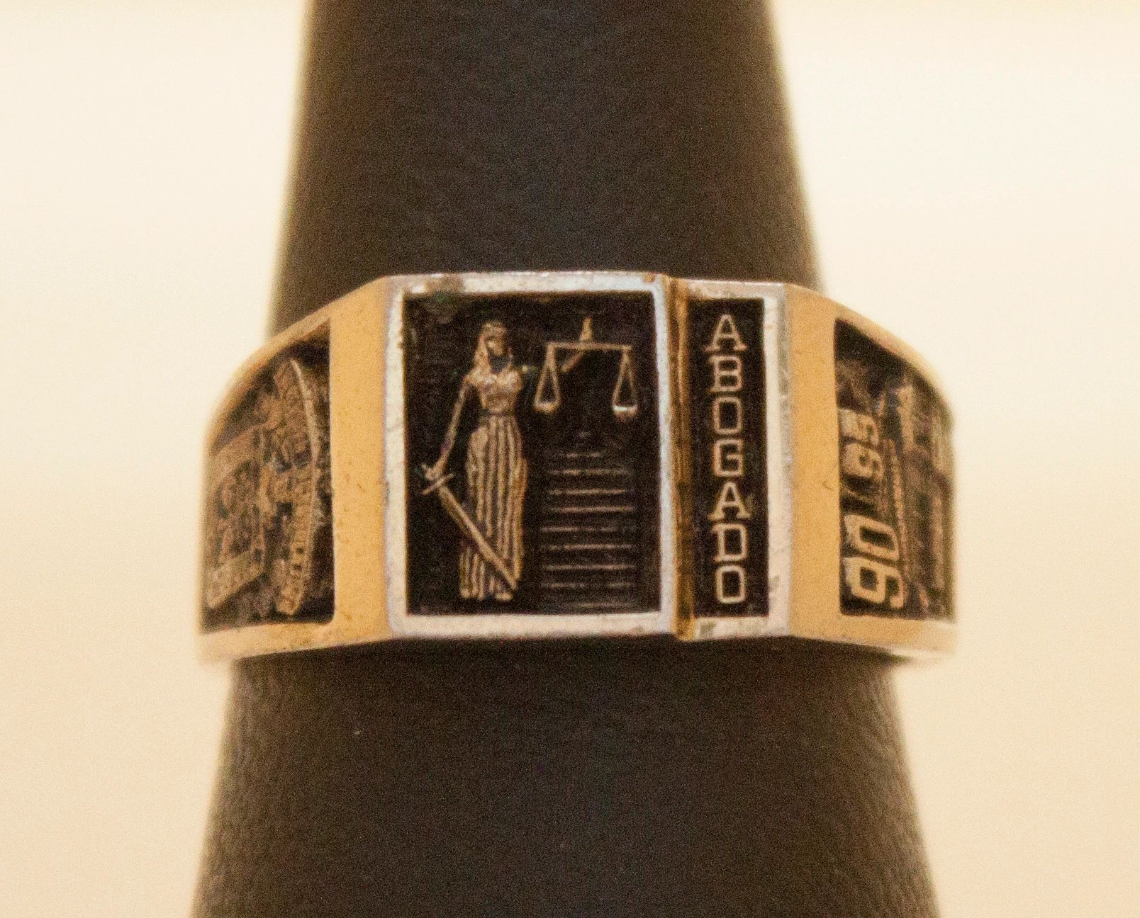 Anillo CS. Sociales y Humanidades 21