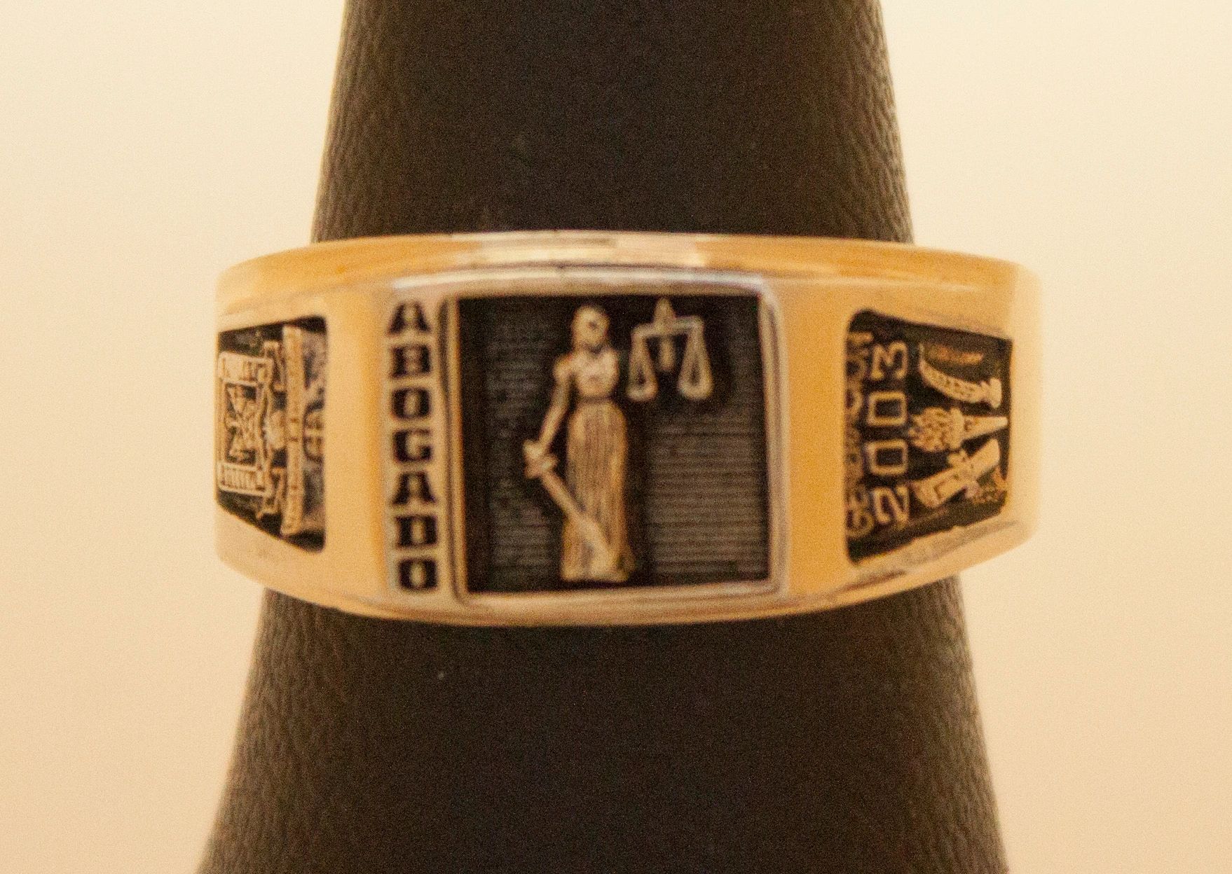 Anillo CS. Sociales y Humanidades 17