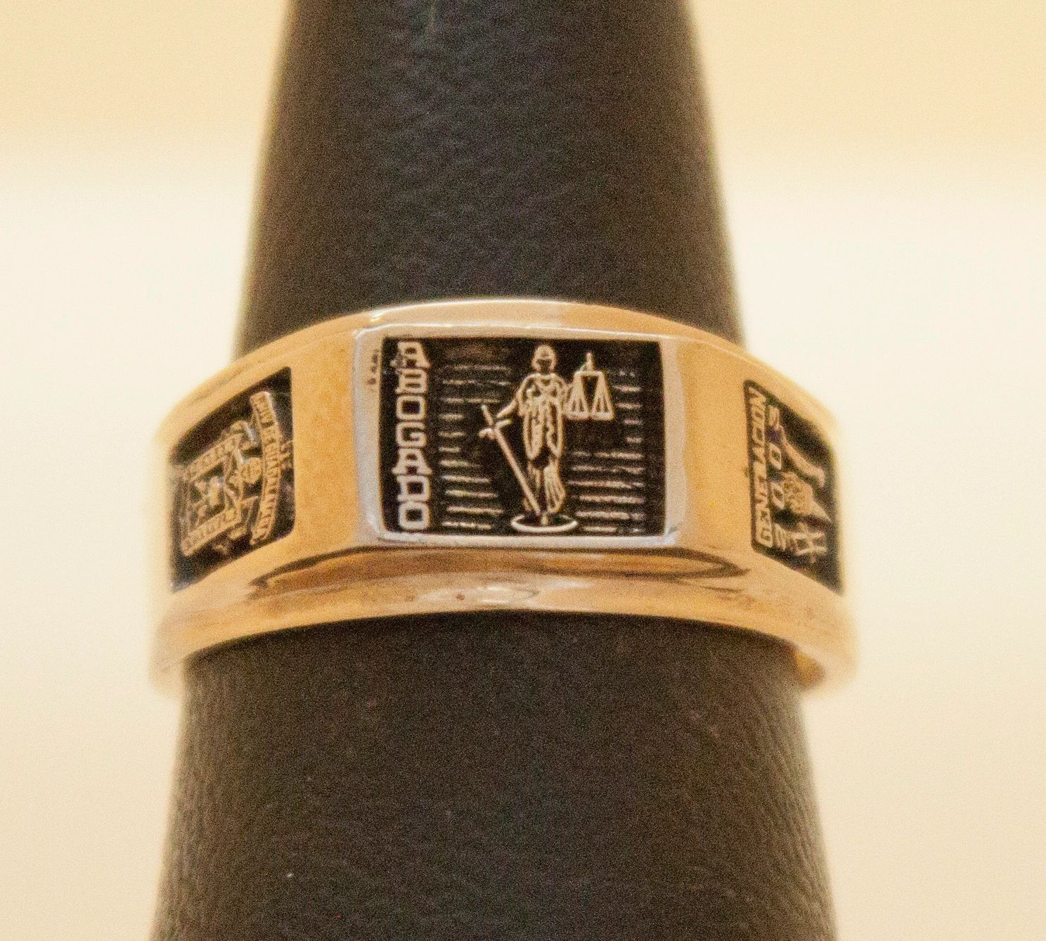 Anillo CS. Sociales y Humanidades 16