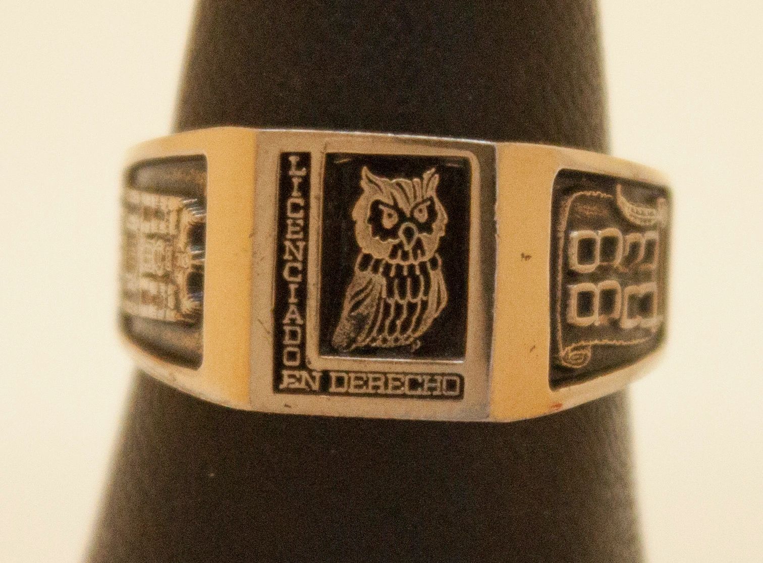 Anillo CS. Sociales y Humanidades 15