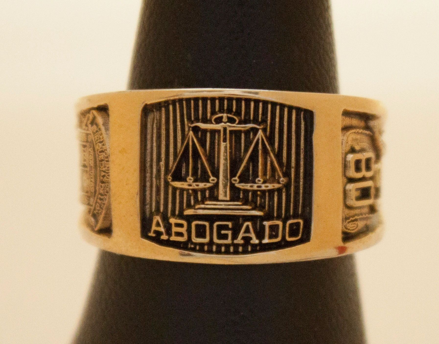 Anillo CS. Sociales y Humanidades 8