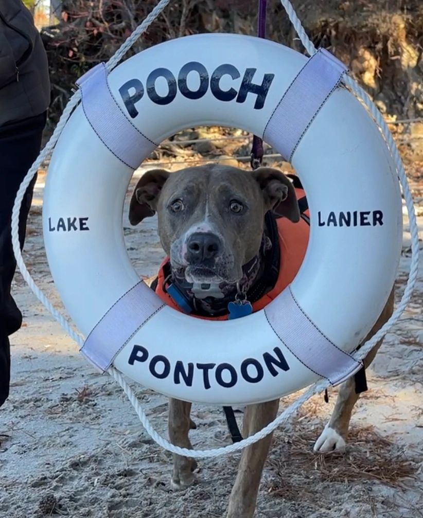 Pooch Pontoon