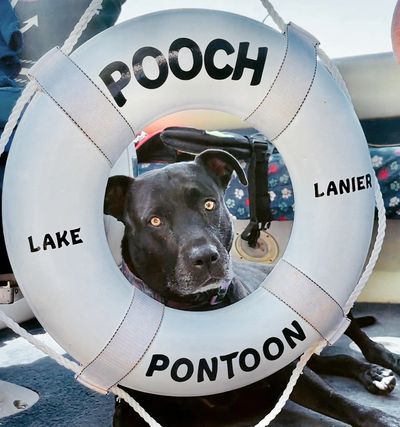 Pooch Pontoon