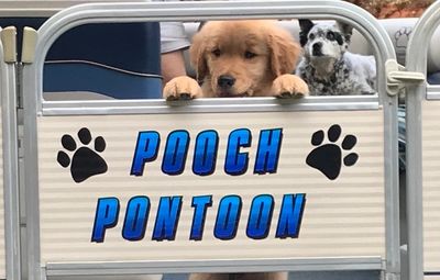 Pooch Pontoon FAQ's Best Friends on The Lake