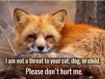 A fox with a plea not to be harmed, addressing cats, dogs, and children.