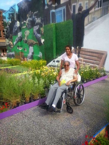 A woman pushes an elderly man in a wheelchair along a garden path with a mural in the background.