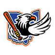 Ohio Eagles Baseball