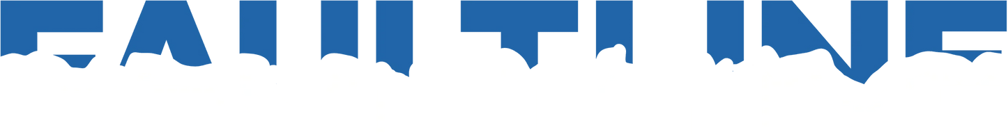Fault Line Consulting