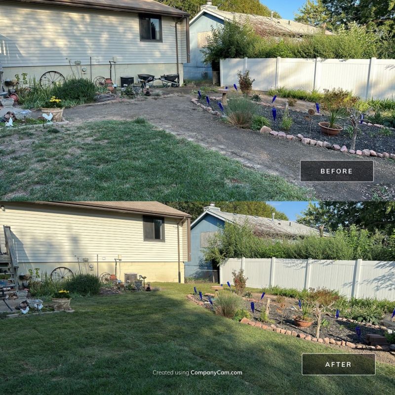 Sod Removal & Installation project photo 3