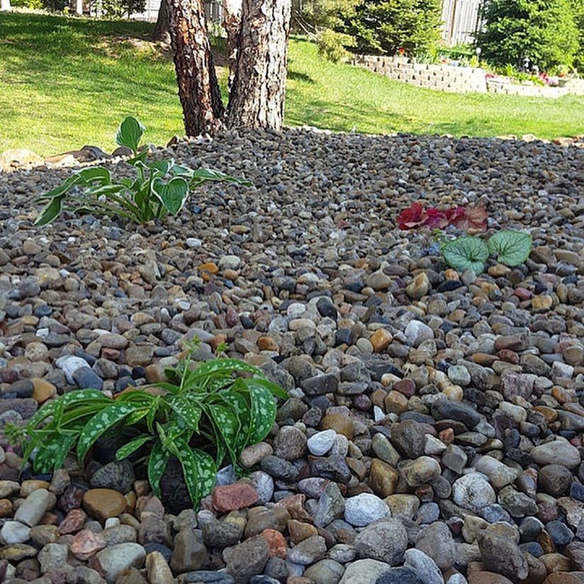 Plantings project by Chief Meadows Landscaping