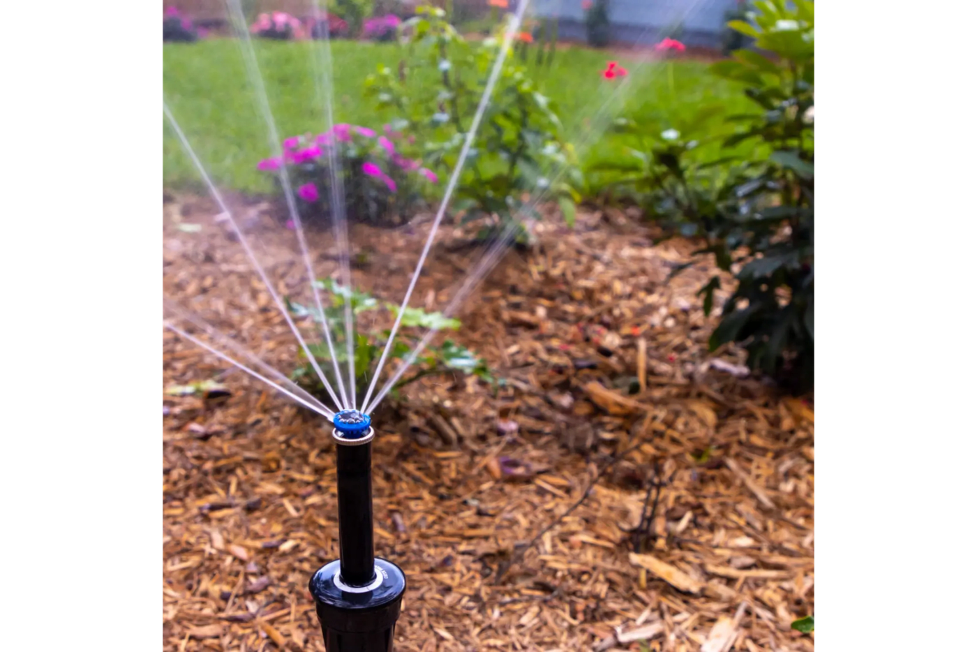 Irrigation project photo 1