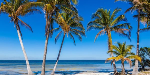 Pine Island Real Estate