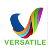  VERSATILE CAREER COACH for IT Business Analysis