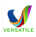 VERSATILE CAREER COACH for IT Business Analysis
