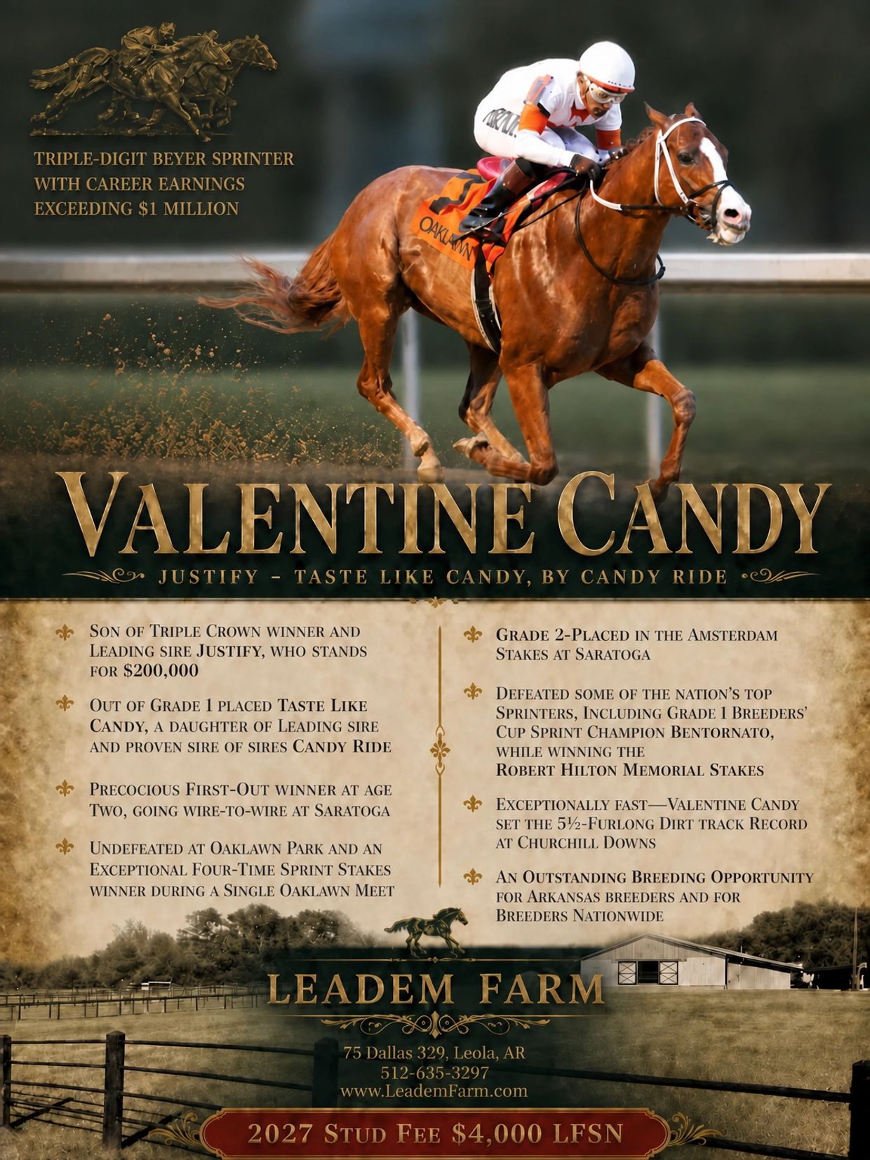 Racehorse Valentine Candy with impressive career highlights.