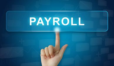 Payroll Services
Guyana Payroll Services
Celery