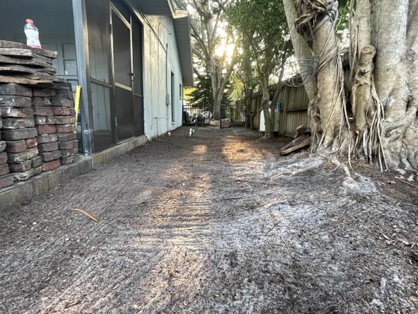 Leveled& cleaned yard to throw down sod 
