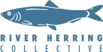 River Herring Collective