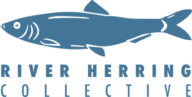 River Herring Collective